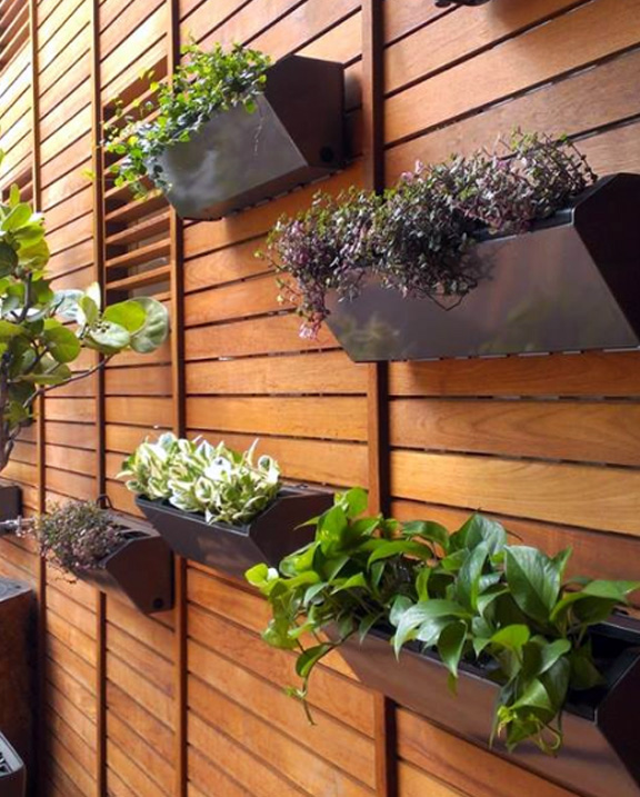 wooden wall and plant wall